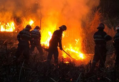 Incendiu violent la Pietrișu, provocat de focul deschis pe câmp; intervenția pompierilor a durat mai mult de 12 ore (video)