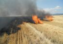 APIA avertizează: fermierii pot plăti scump incendierea miriștilor