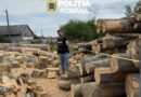 Comercianții de lemn din Giurgiu au intrat pe ”radarul” autorităților: control mixt Poliție – Garda Forestieră