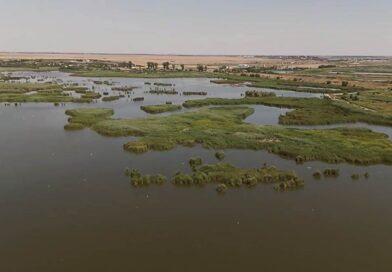 Reconstrucția ecologică a bălții Comana – obiectiv prioritar. Care este motivul?
