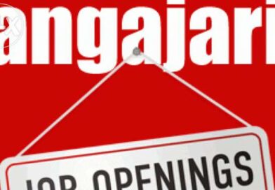 Anunț de angajare la AJOFM; trei posturi vacante, ocupate prin transfer la cerere, exclusiv de funcționari publici