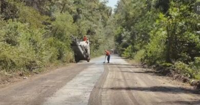 Președintele CJ, TOMA PETCU, din nou pe teren, în județ (video)