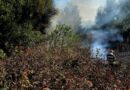 Pericol uriaș la Roata: două incendii de vegetație uscată amenințau să se extindă la sondele petroliere din zonă