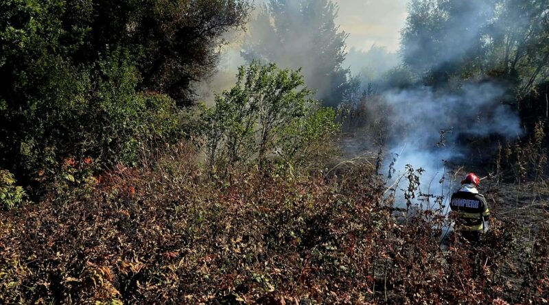 Pericol uriaș la Roata: două incendii de vegetație uscată amenințau să se extindă la sondele petroliere din zonă