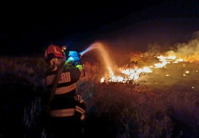 Incendiu de proporții la Vieru: au fost afectate circa 120 de hectare de teren, inclusiv o livadă