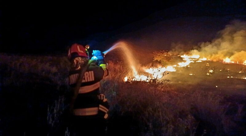 Incendiu de proporții la Vieru: au fost afectate circa 120 de hectare de teren, inclusiv o livadă