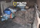 Flagrant mai puțin obișnuit la Vărăști; ce au surprins polițiștii în plină desfășurare?
